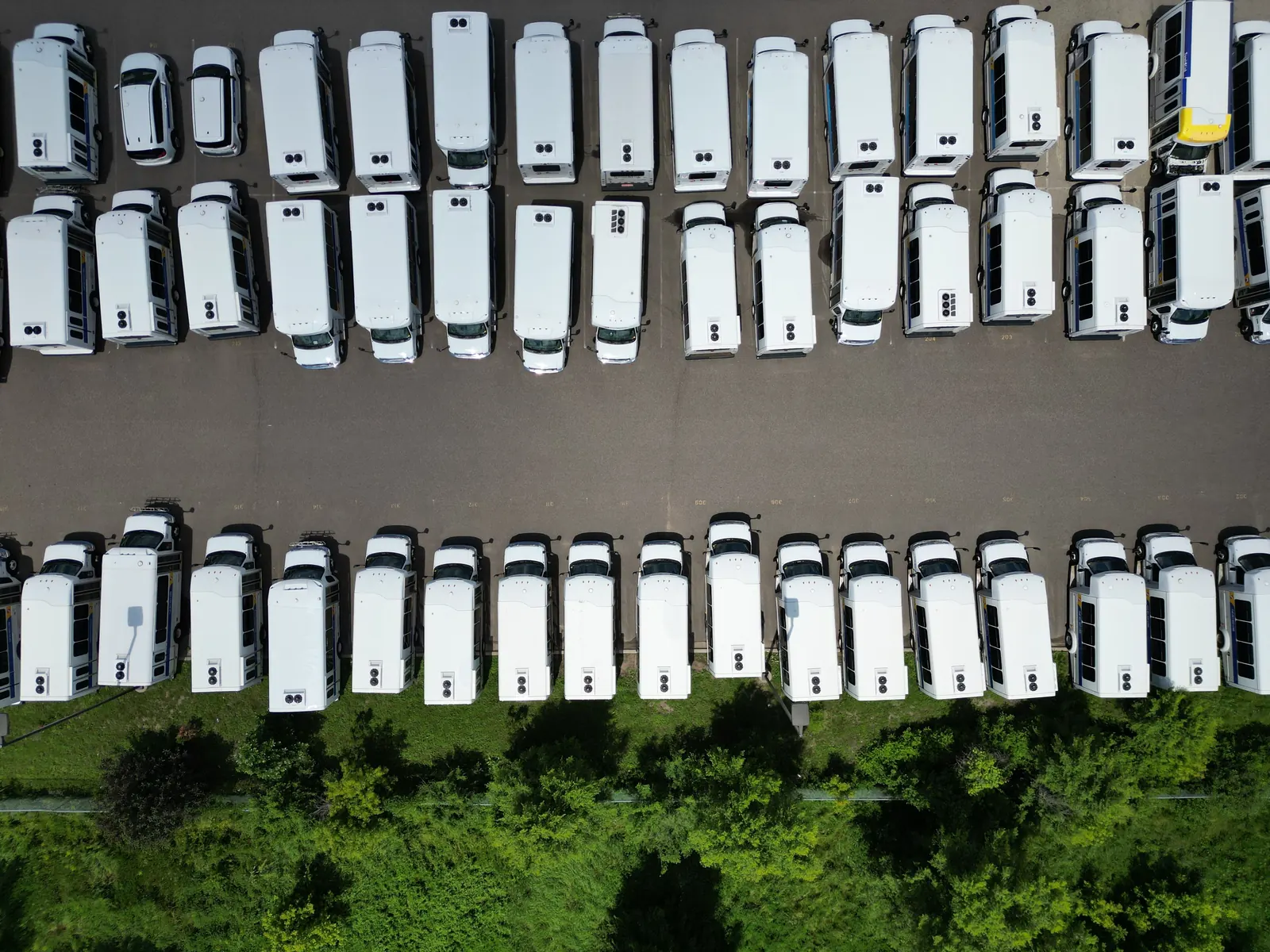 Vista dall'alto di un grande parcheggio con due lunghe file di furgoni e minibus bianchi accanto a una striscia di alberi