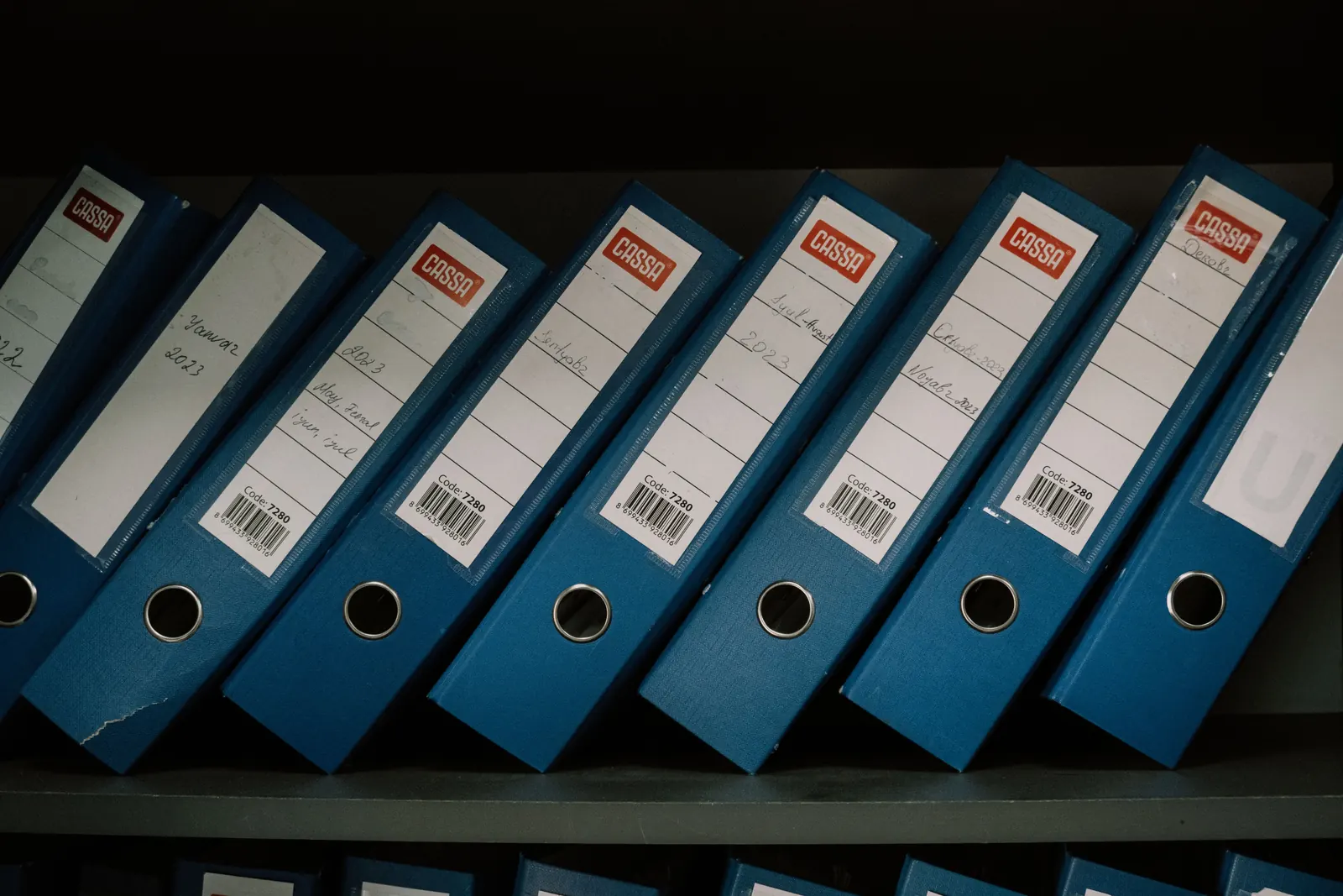 Faldoni blu con etichette scritte a mano allineati su uno scaffale d'archivio