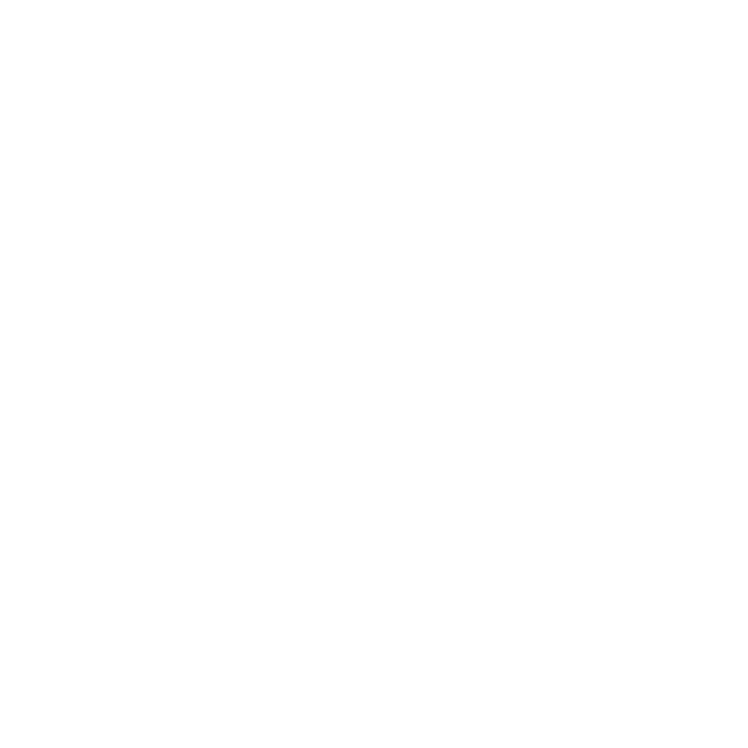 Singularity Labs logo